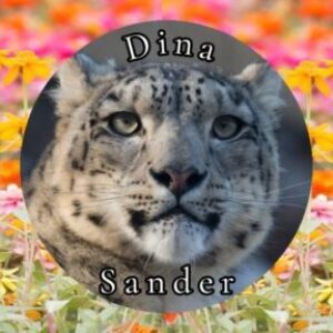 Profilbild von DinaSander